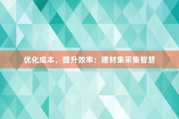 优化成本，提升效率：建材集采集智慧